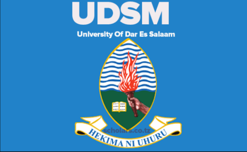 University of Dar Es Salaam Undergraduate Fee Structure