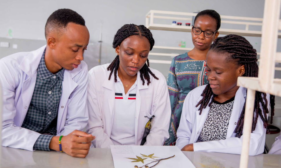 Approved Pharmacy Training Institutions in Tanzania